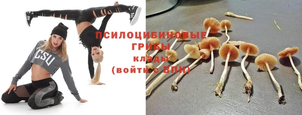 крисы Балахна